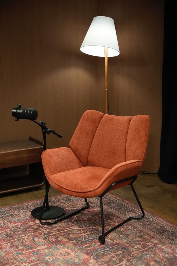 Terracotta armchair beside a floor lamp, wood wall and patterned rug.